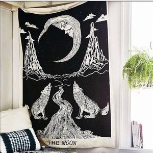 tapestry The moon π